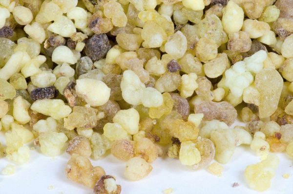 Ethiopian Frankincense (Boswellia Papyrifera) Hot on Sale - Image 3