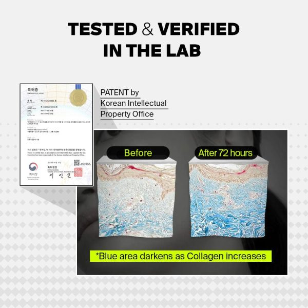 82% High Dose Peptide Formula 30ml Online Sale - Image 5
