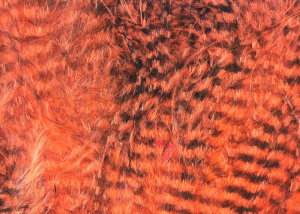 Fine Black Barred Marabou Discount - Image 2