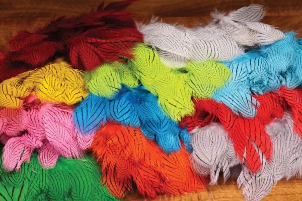 Silver Pheasant Body Feathers Hot on Sale